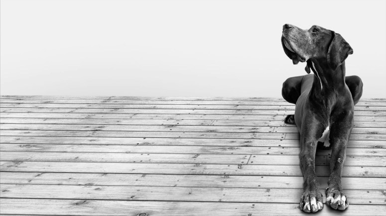 Accenture-Seeing-Beyond-The-Loyalty-Illusion-Marquee